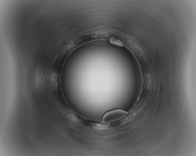 X0000116660232200912141327