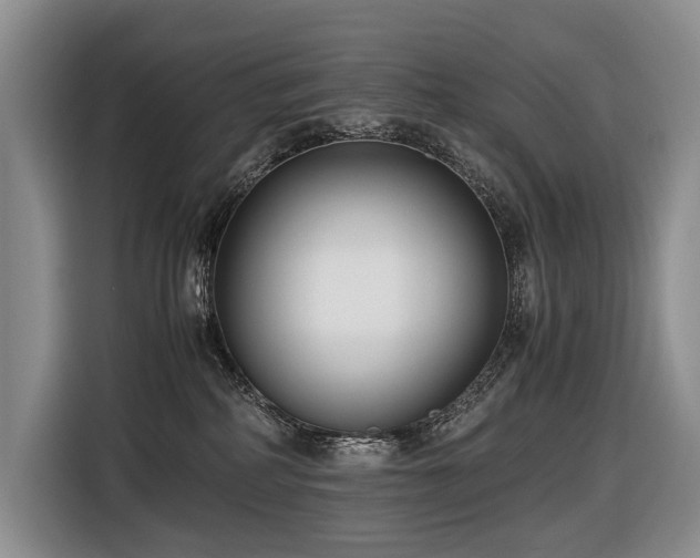 X0000116660234200912141327