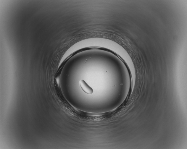 X0000116660235200912141327