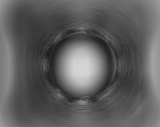 X0000116660236200912141327