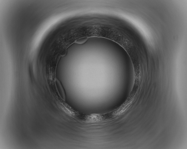 X0000116660239200912141327