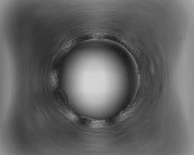 X0000116660240200912141327