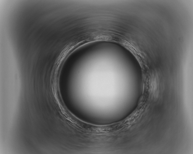 X0000116660241200912141326