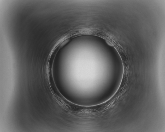 X0000116660244200912141326