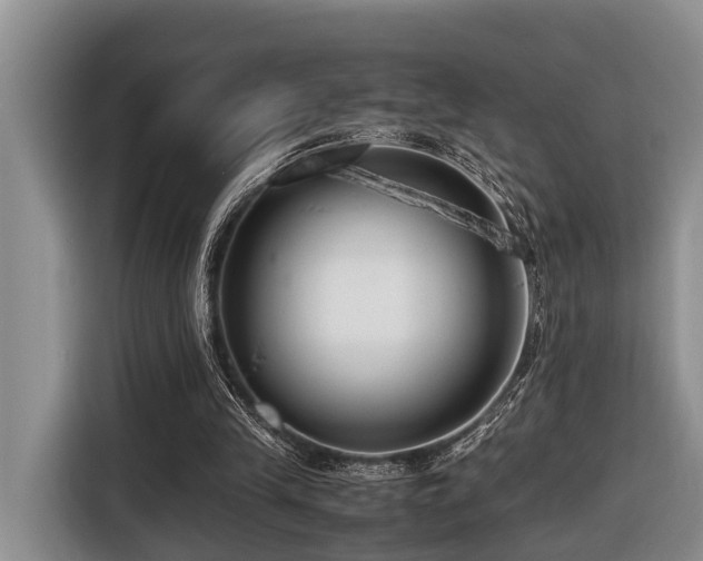 X0000116660245200912141326