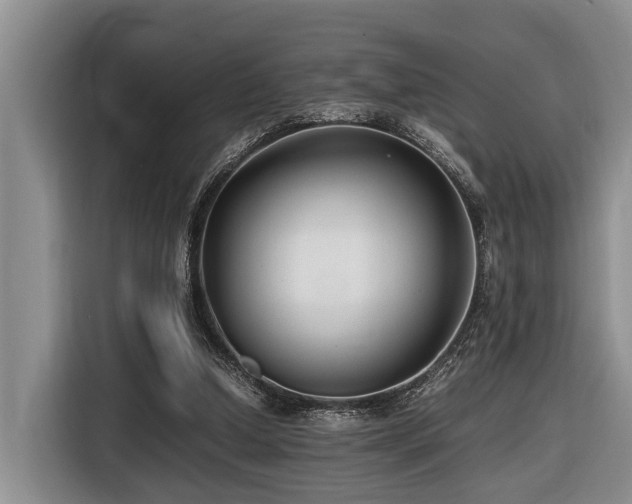 X0000116660250200912141326