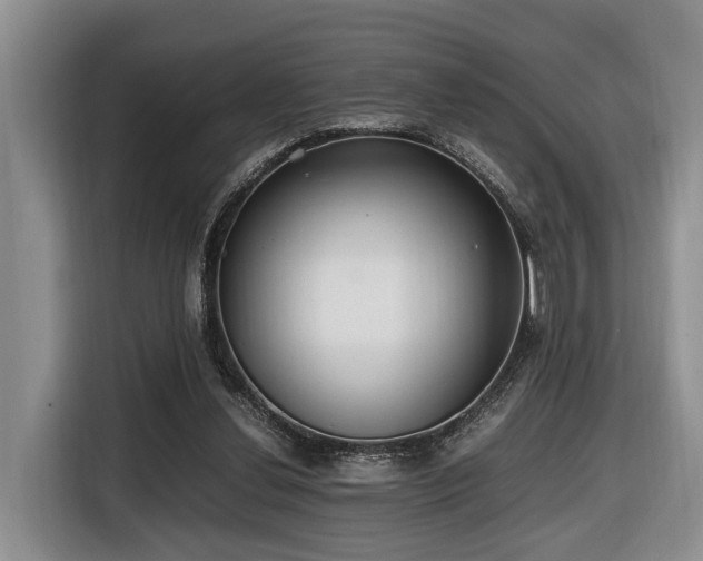 X0000116660252200912141326