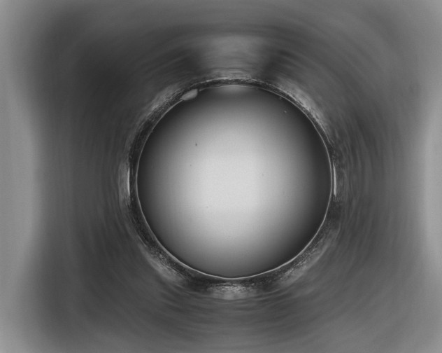 X0000116660253200912141326