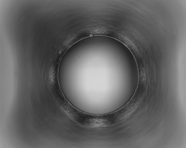 X0000116660255200912141326