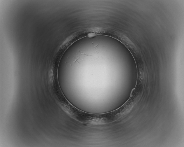 X0000116660256200912141326