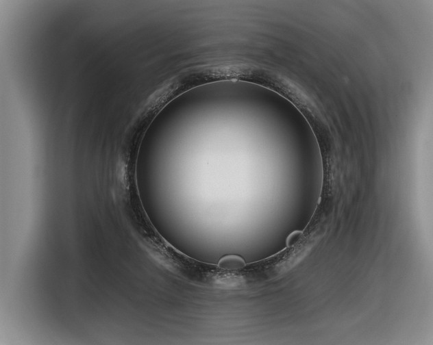 X0000116660258200912141326