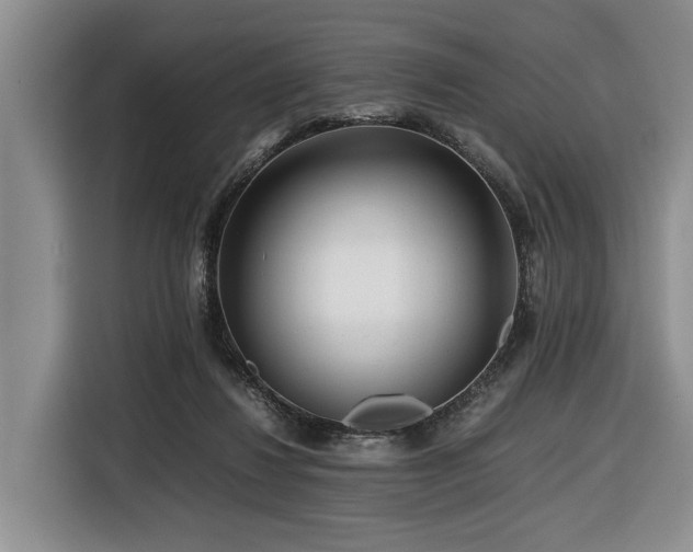 X0000116660260200912141326