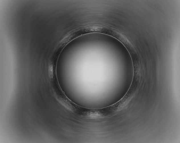 X0000116660262200912141326