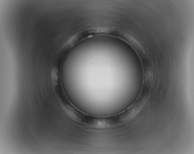 X0000116660264200912141326