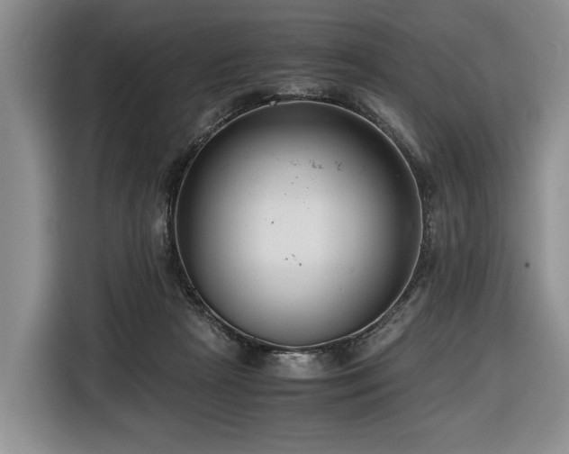 X0000116660265200912141326