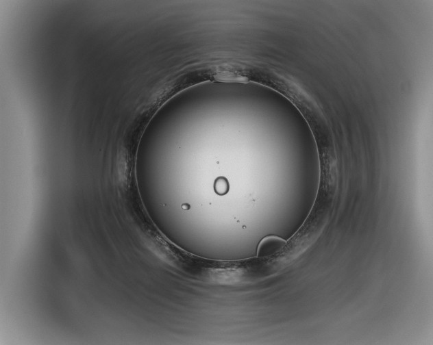 X0000116660266200912141326