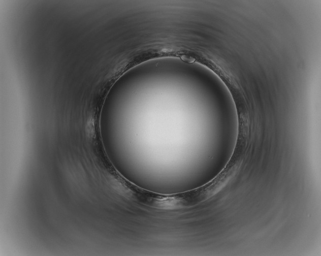 X0000116660269200912141326