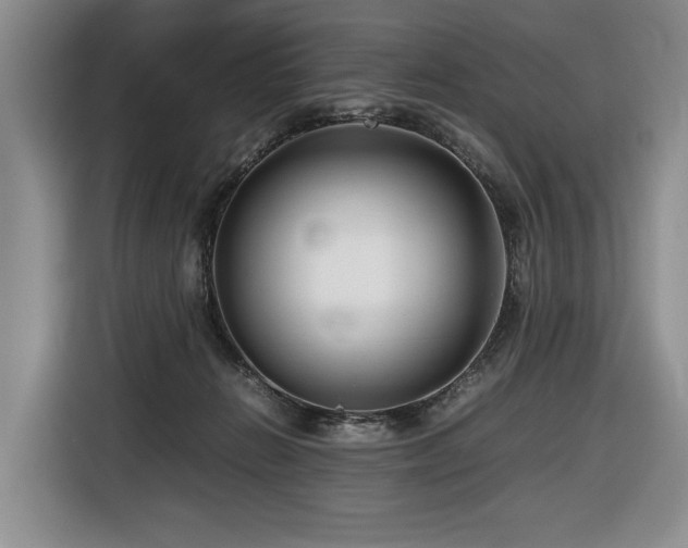 X0000116660270200912141326