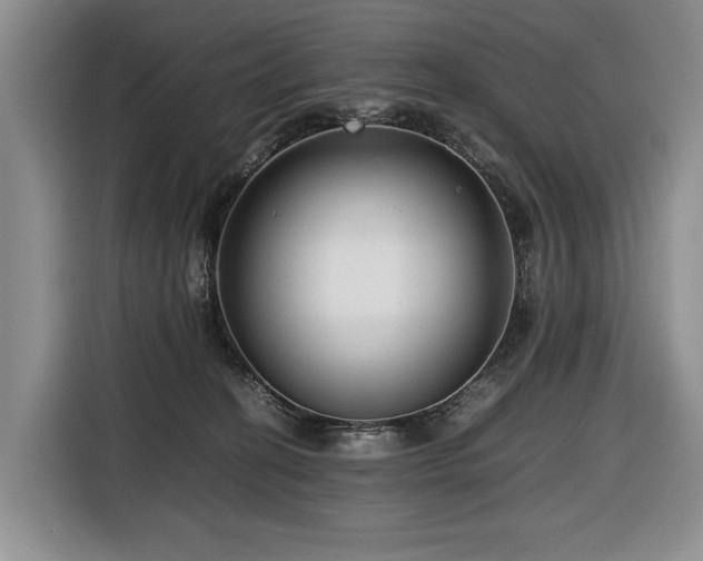 X0000116660274200912141326