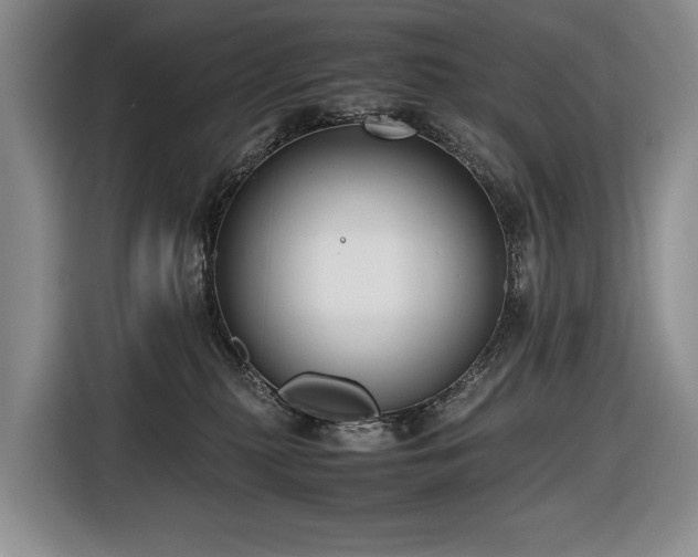 X0000116660279200912141326