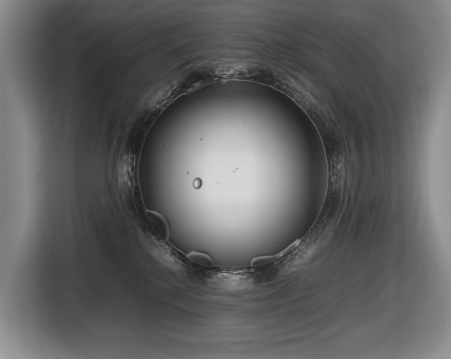 X0000116660280200912141326