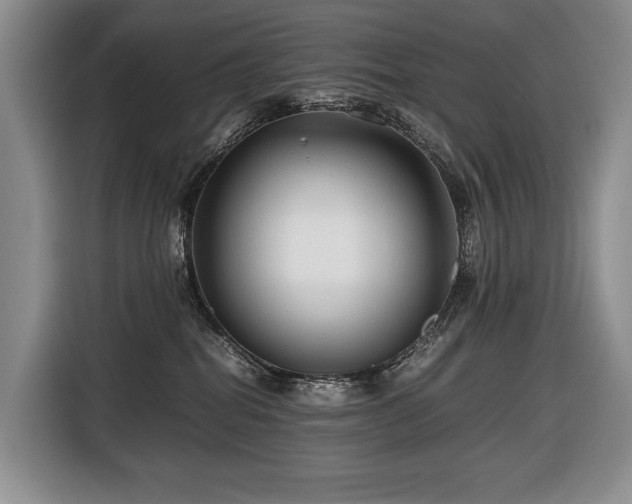 X0000116660282200912141326