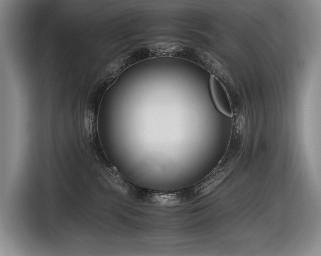 X0000116660283200912141326