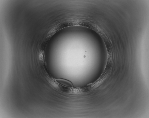 X0000116660286200912141327