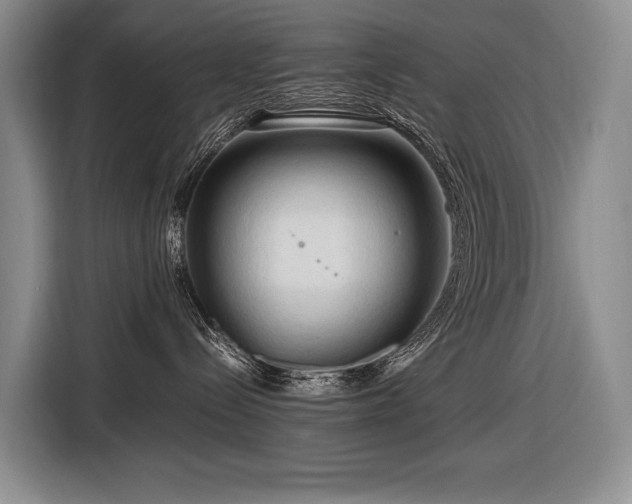 X0000116660288200912141327