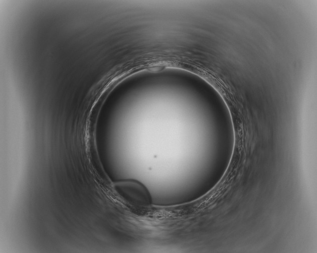 X0000116660290200912141326