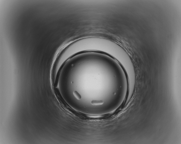 X0000116660294200912141326