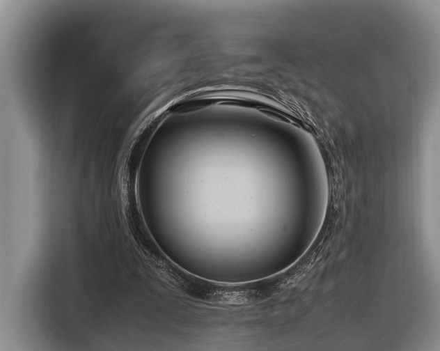 X0000116660295200912141326