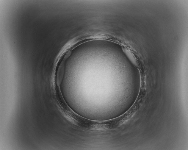 X0000116660296200912141326