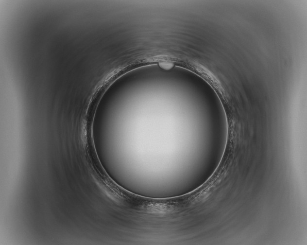 X0000116660298200912141326