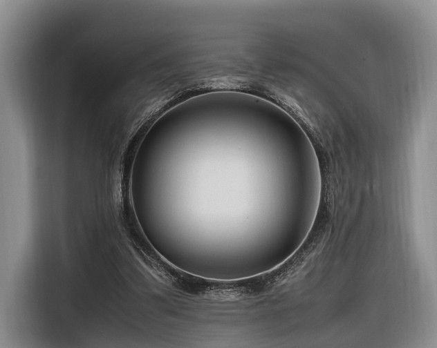 X0000116660299200912141326