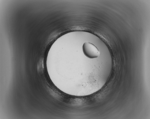 X0000116660302200912141326