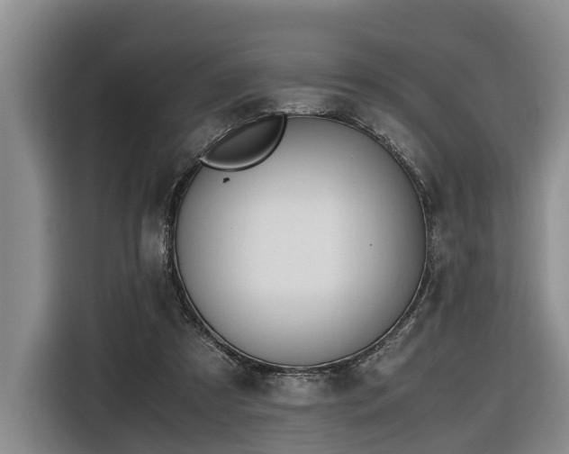 X0000116660305200912141326