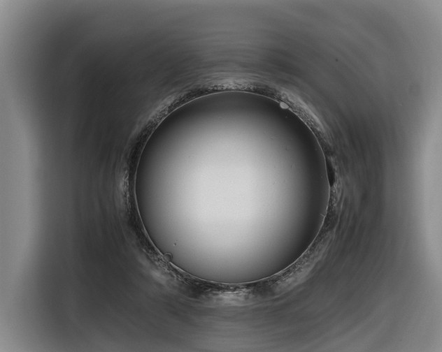 X0000116660306200912141326