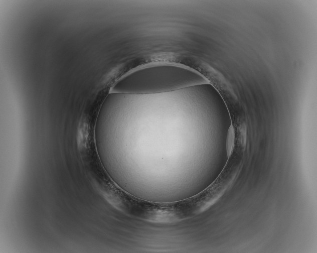 X0000116660308200912141326