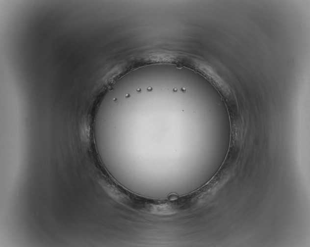 X0000116660309200912141326