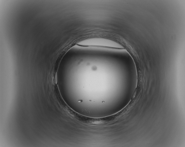 X0000116660313200912141326