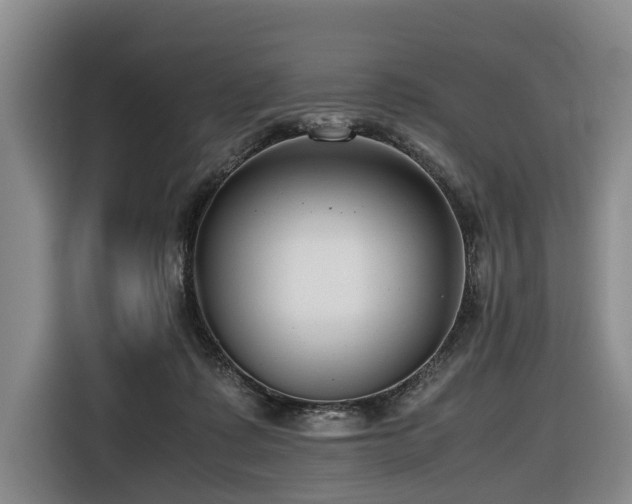 X0000116660315200912141326