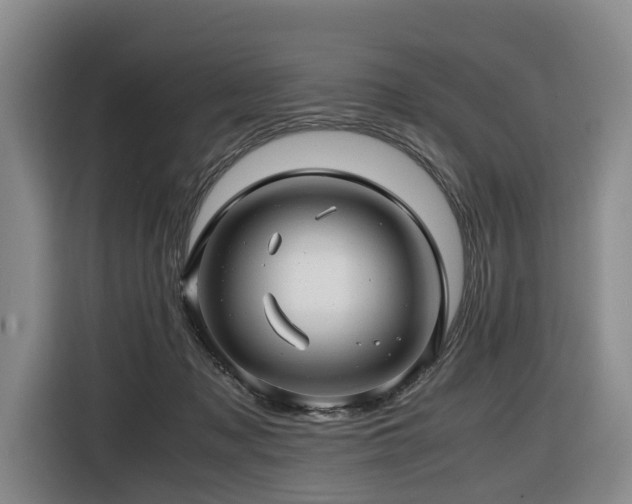 X0000116660317200912141326