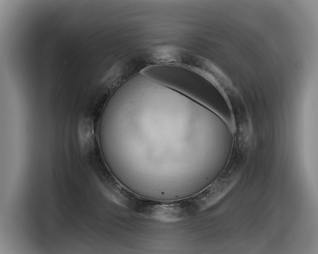 X0000116660320200912141326