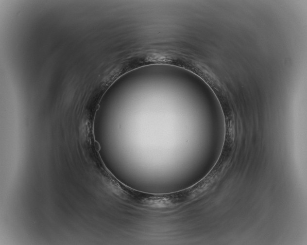 X0000116660322200912141326