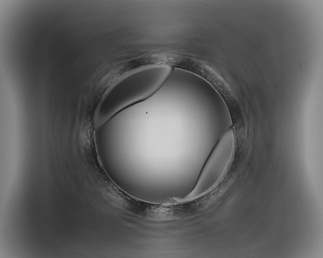 X0000116660325200912141325