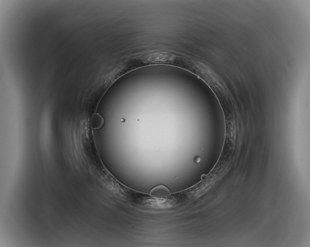 X0000116660326200912141325