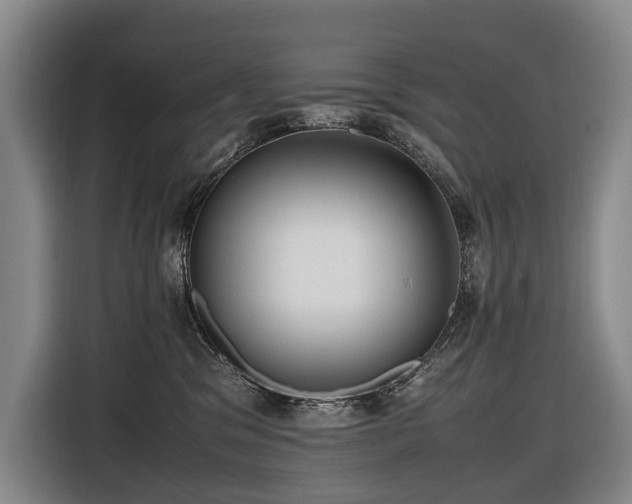 X0000116660329200912141325