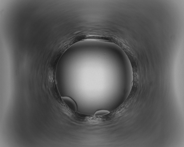 X0000116660331200912141325