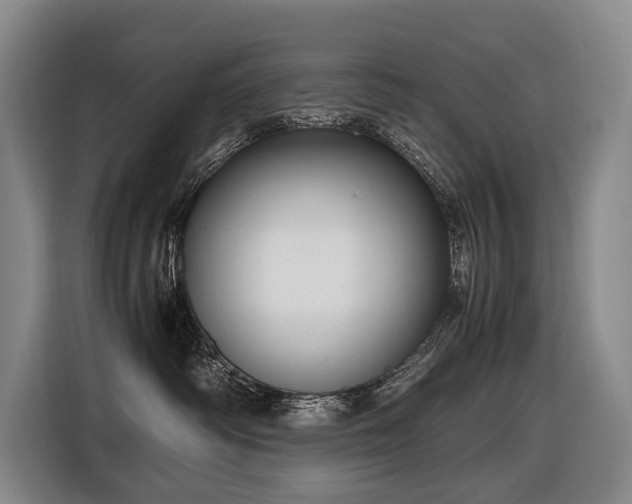 X0000116660334200912141325